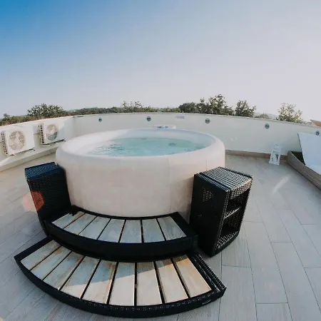 Villa Exotic In Novigrad With Private Swimming Pool Brtonigla